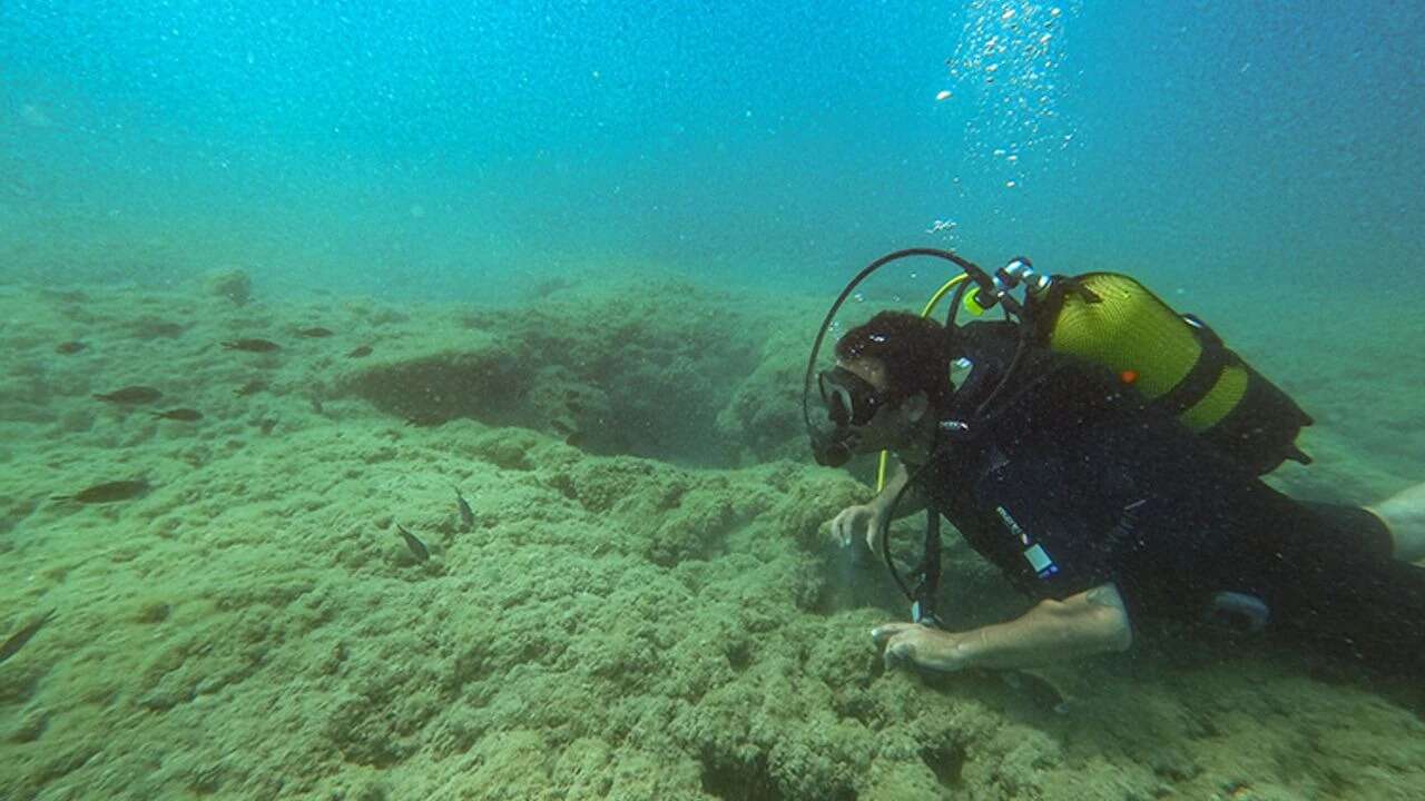 Denizler ısınıyor, Marmara’da müsilaj tehlikesi hâlâ masada 2